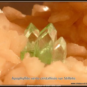 Apophyllite verte cristallisée sur Stilbite.
